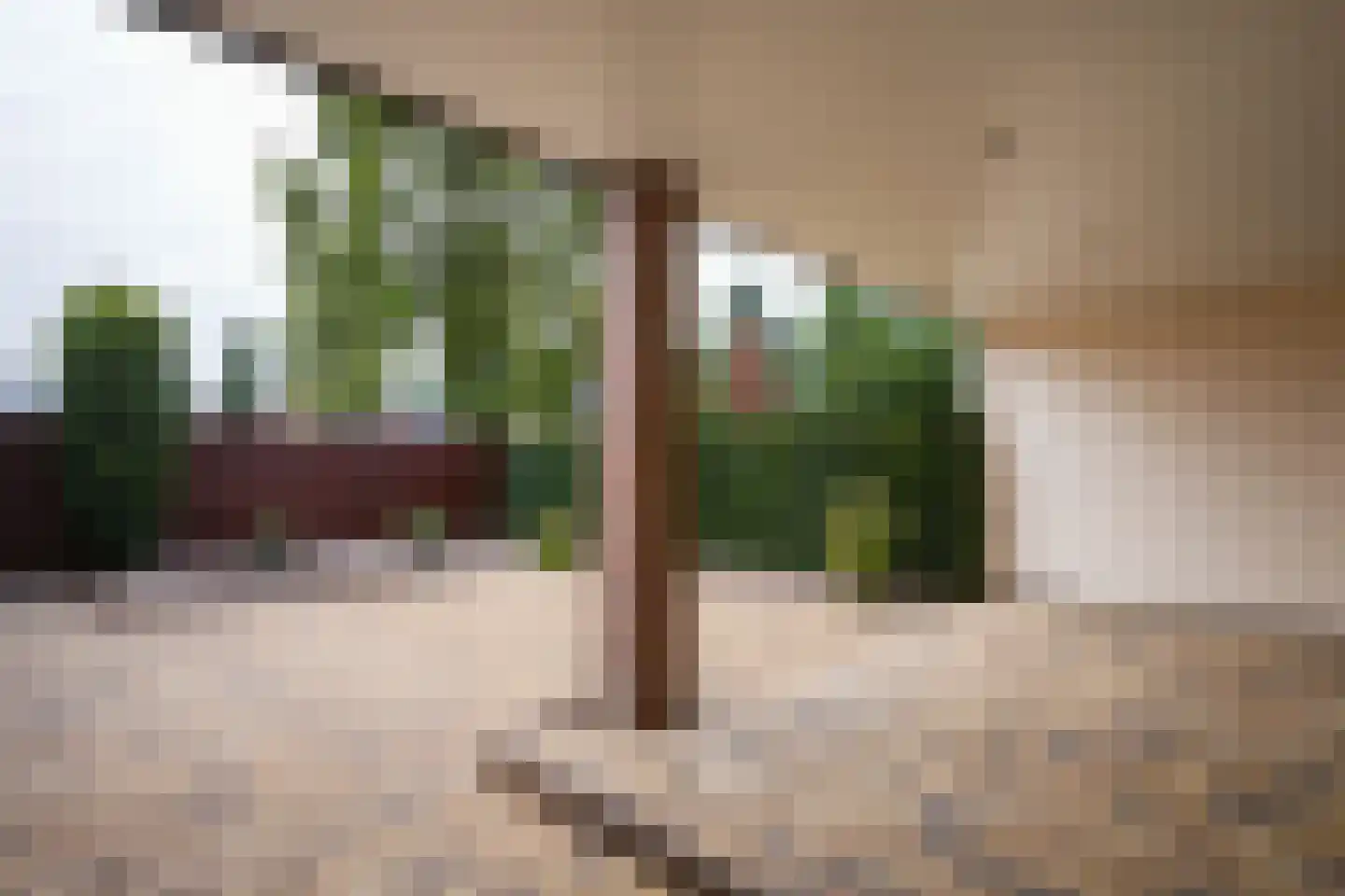 Bartholemeusstraat 7 Born thumbnail 20