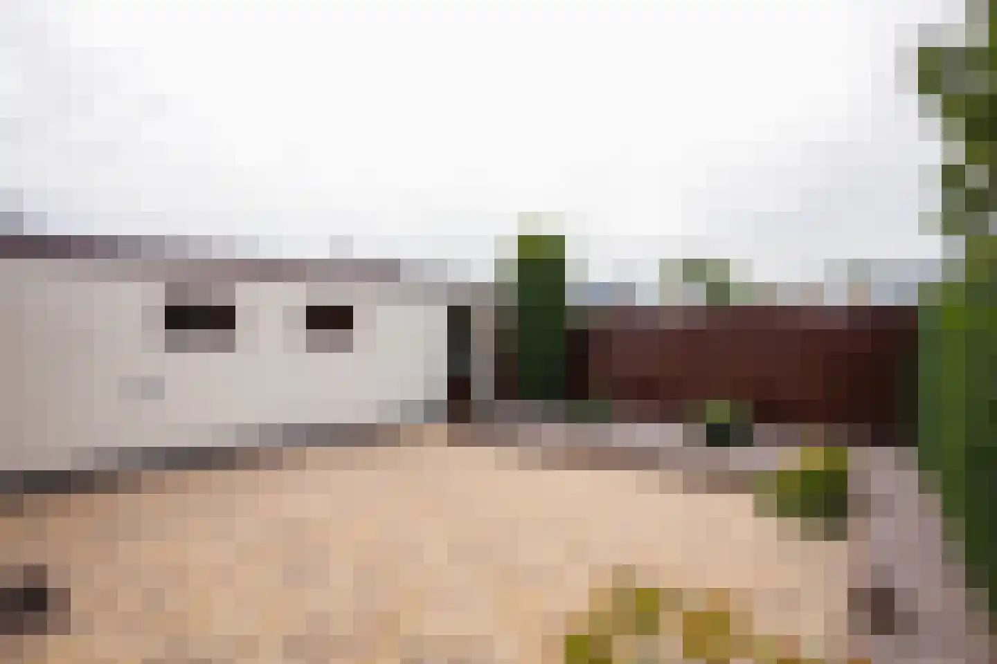 Bartholemeusstraat 7 Born thumbnail 22