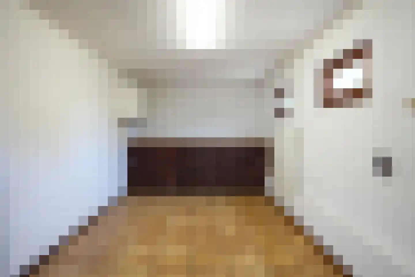 Bartholemeusstraat 7 Born thumbnail 27