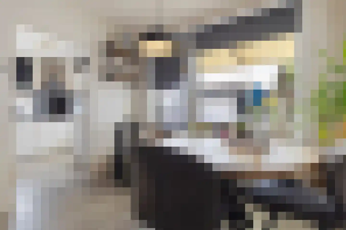 Bartholemeusstraat 8 Born thumbnail 14