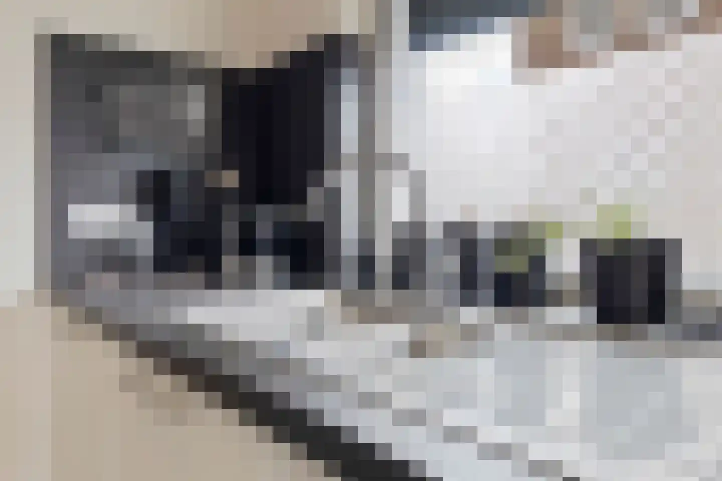 Bartholemeusstraat 8 Born thumbnail 17