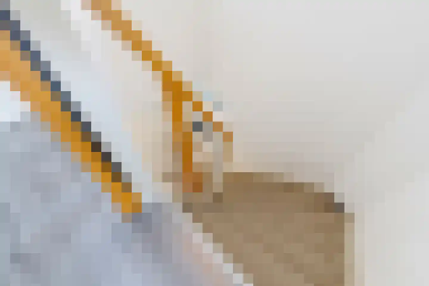 Bartholemeusstraat 8 Born thumbnail 21