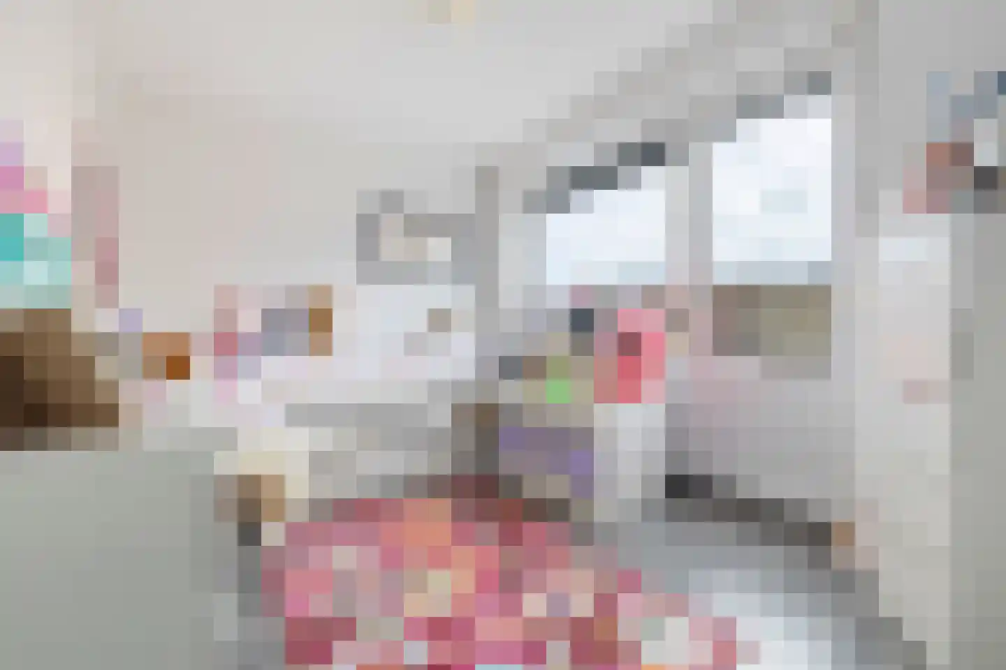 Bartholemeusstraat 8 Born thumbnail 27
