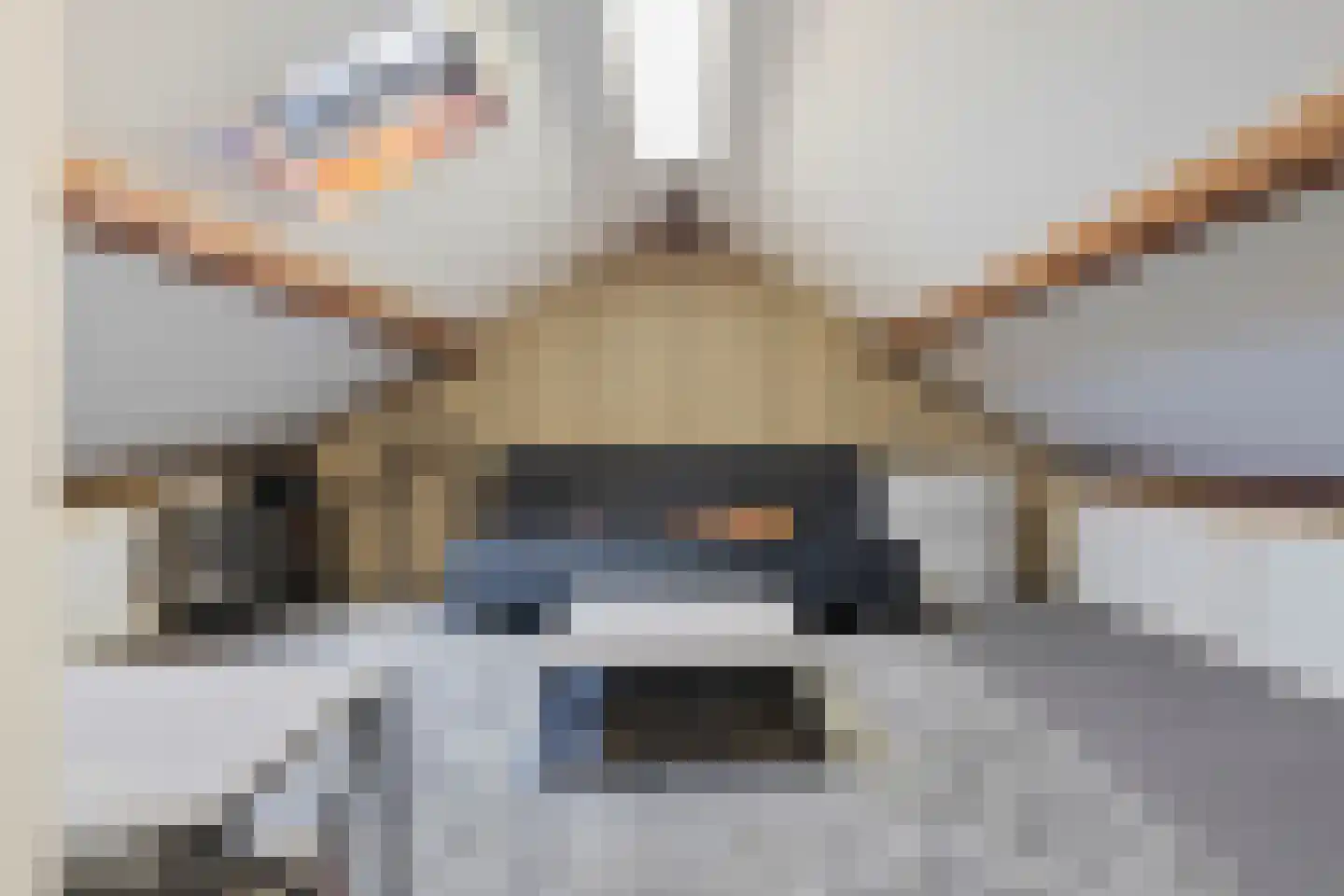 Bartholemeusstraat 8 Born thumbnail 33