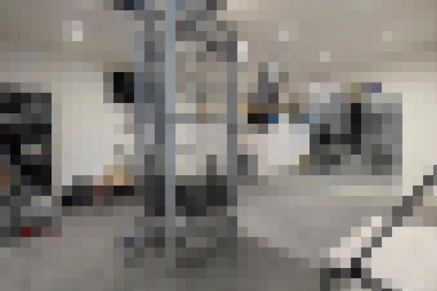 Bartholemeusstraat 8 Born thumbnail 35