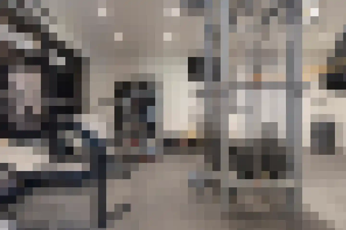 Bartholemeusstraat 8 Born thumbnail 36