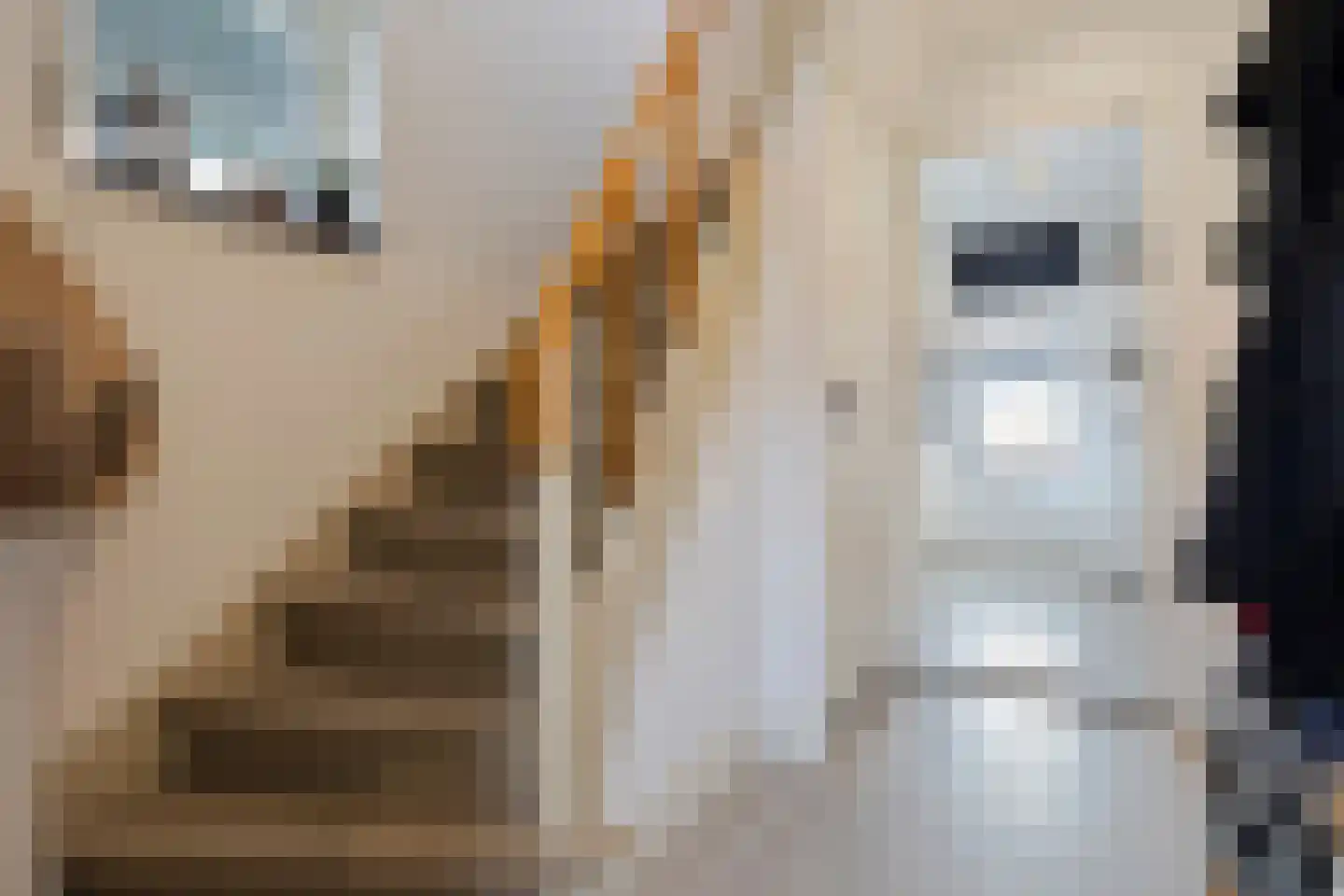 Bartholemeusstraat 8 Born thumbnail 4