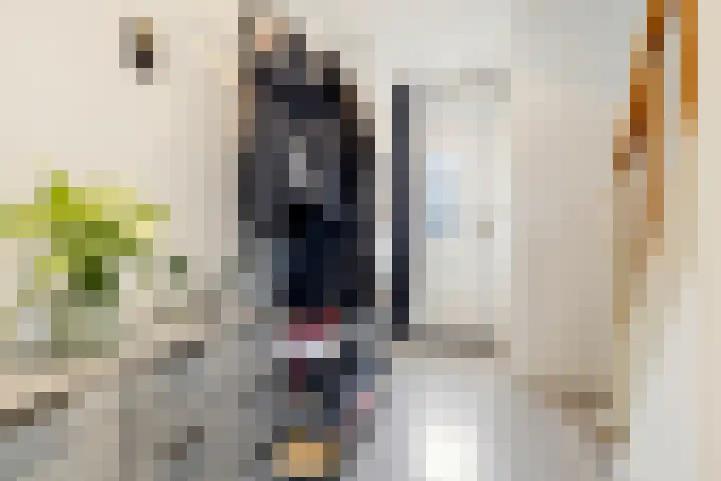 Bartholemeusstraat 8 Born thumbnail 5