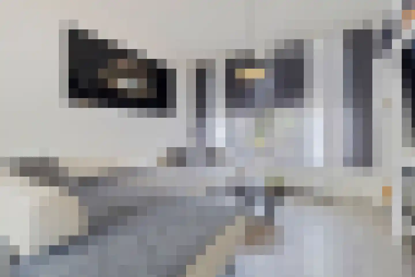 Bartholemeusstraat 8 Born thumbnail 9