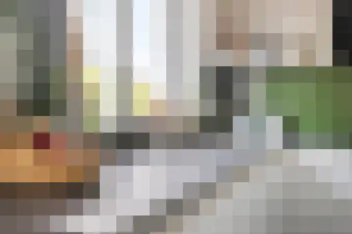 Bartholomeus Boschsingel 12 Numansdorp thumbnail 11