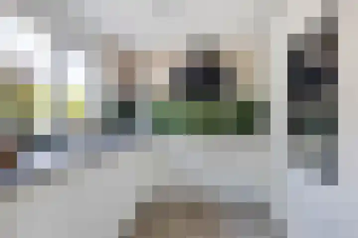 Bartholomeus Boschsingel 12 Numansdorp thumbnail 12