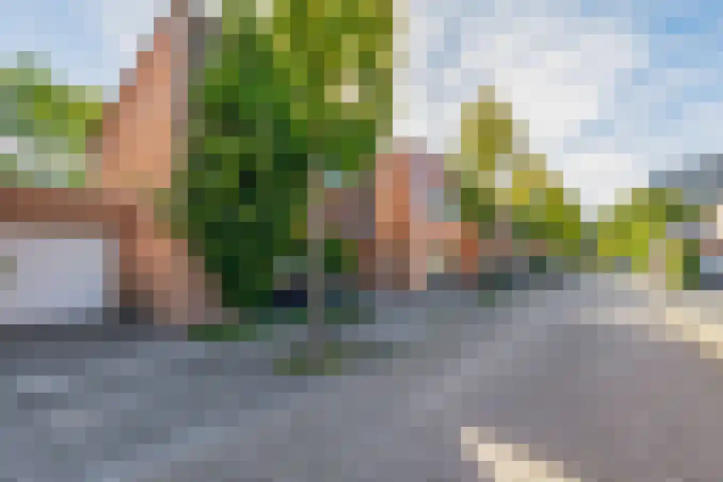 Bartholomeus Diazlaan 21 Eindhoven thumbnail 50