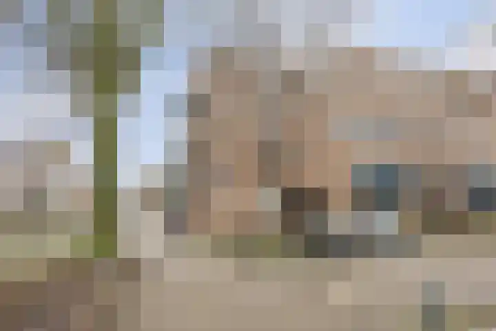 Bartholomeus Everardus Molen 41 Rotterdam foto 2