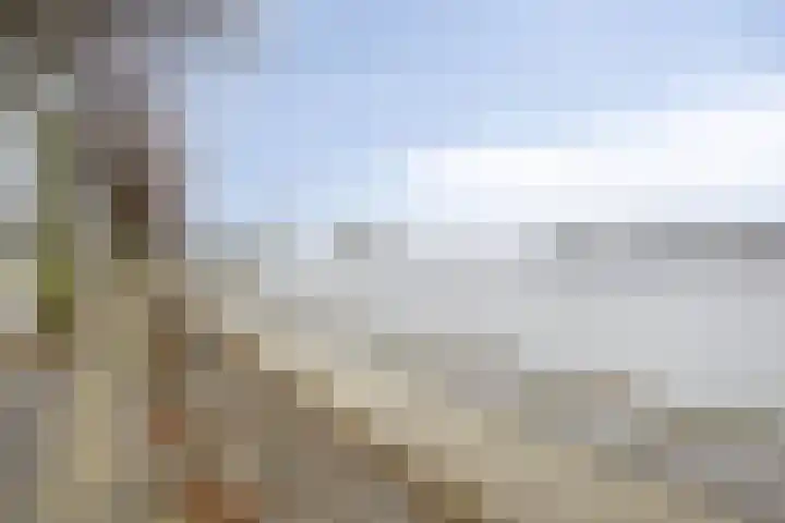 Bartholomeus Everardus Molen 41 Rotterdam thumbnail 23