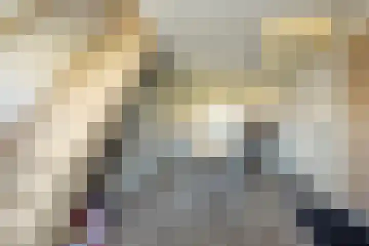 Bartholomeus Everardus Molen 41 Rotterdam thumbnail 5