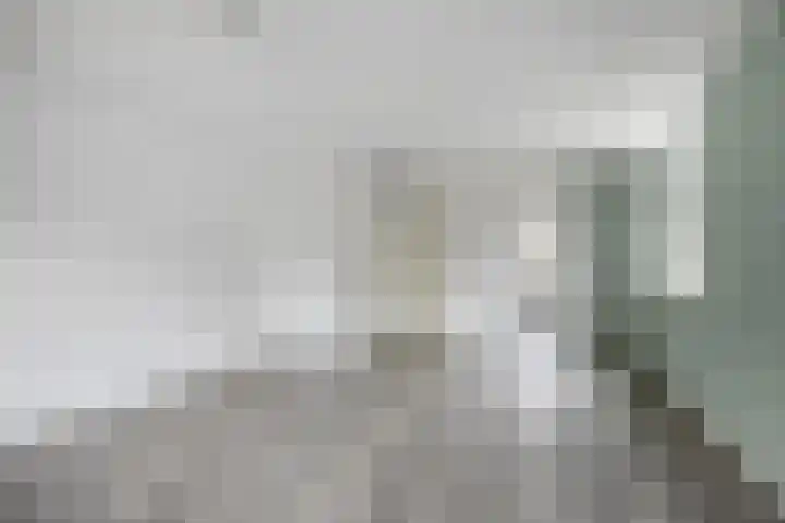 Bartholomeus Everardus Molen 41 Rotterdam thumbnail 6