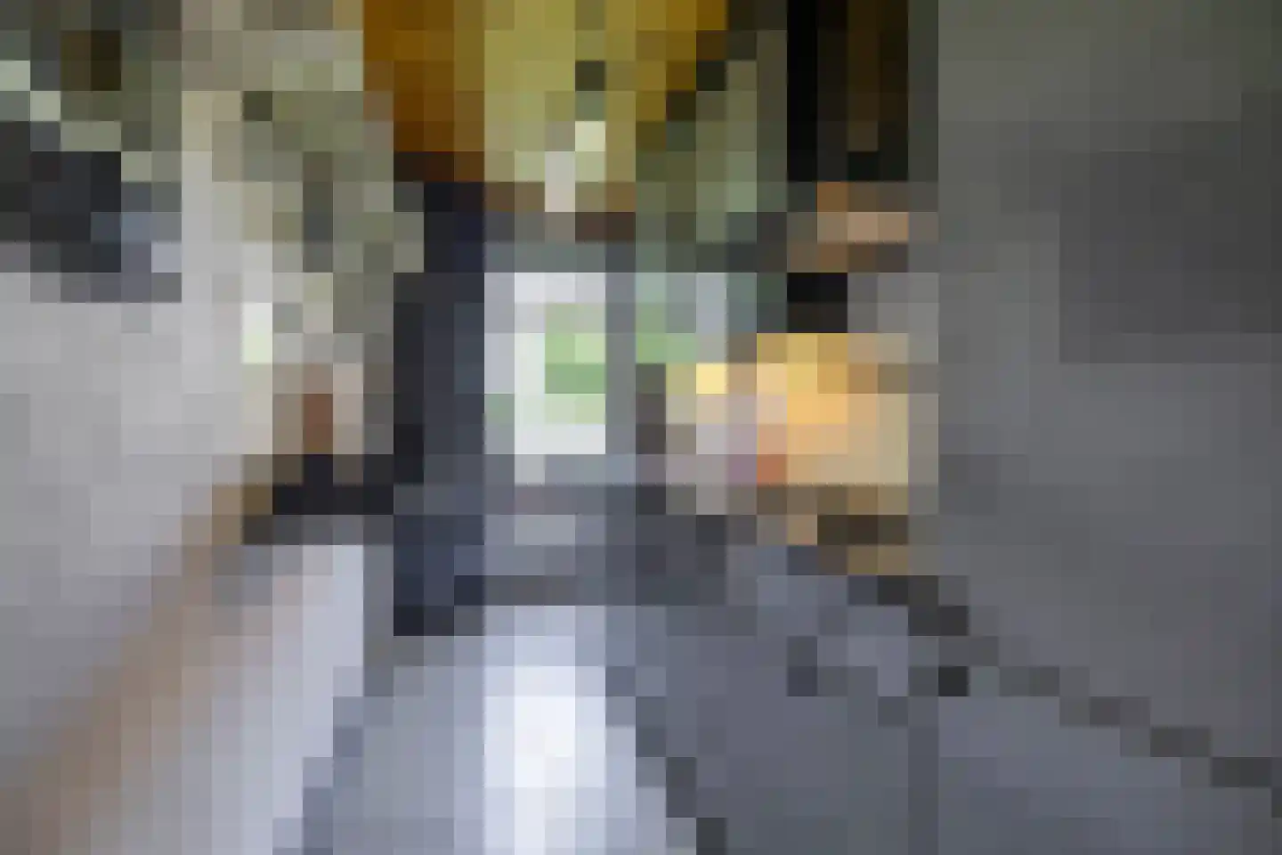 Bartholomeus vd Helststr 25 Hoogezand thumbnail 25