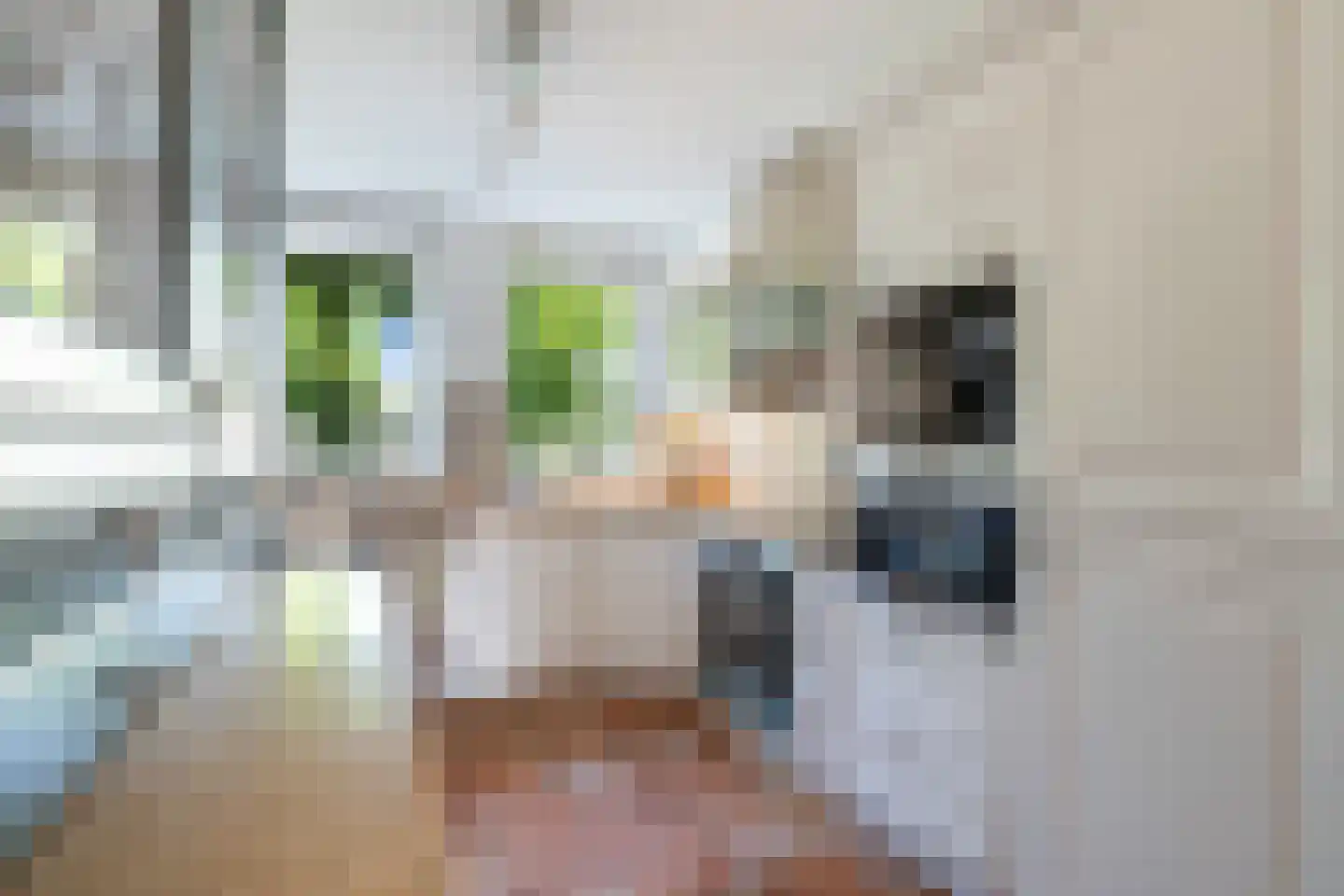 Bartholomeuslaan 10 Nootdorp thumbnail 18