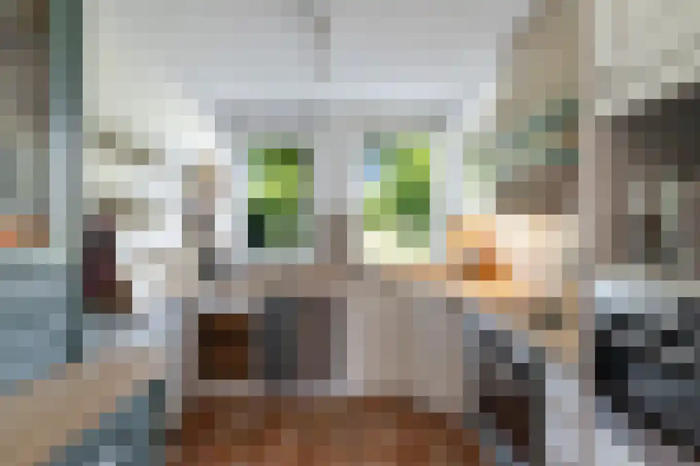Bartholomeuslaan 10 Nootdorp thumbnail 19