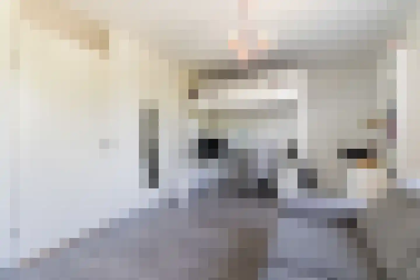 Bartholomeuslaan 10 Nootdorp thumbnail 33