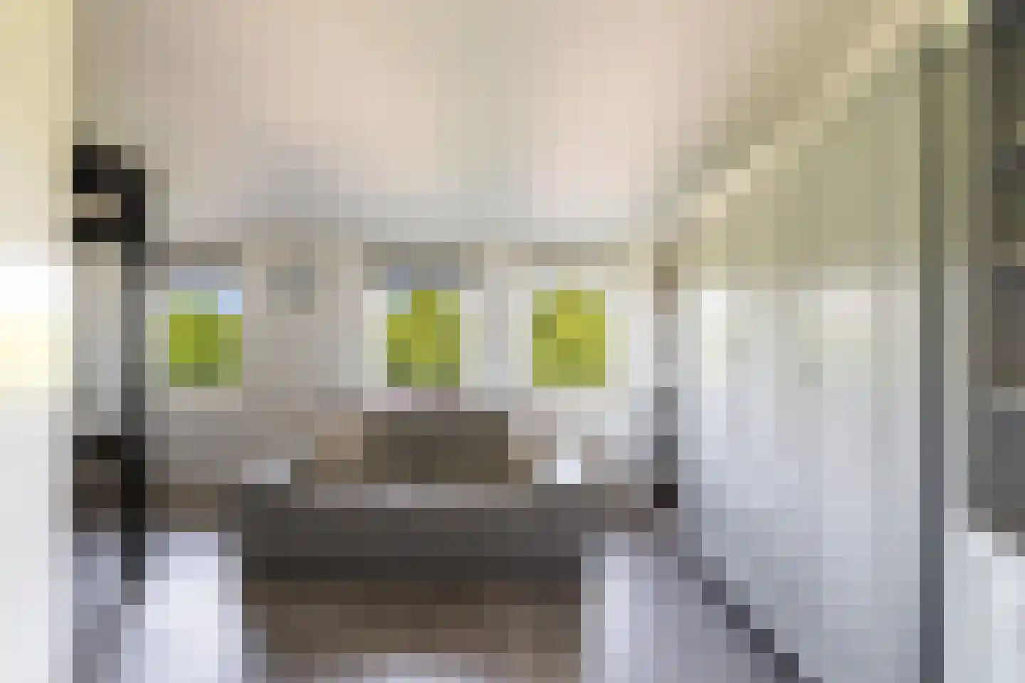 Bartholomeuslaan 10 Nootdorp thumbnail 37
