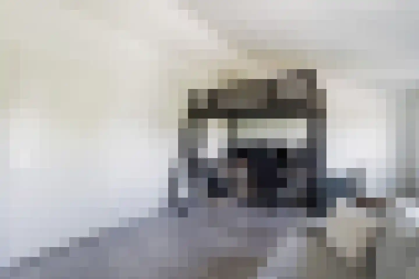Bartholomeuslaan 10 Nootdorp thumbnail 38
