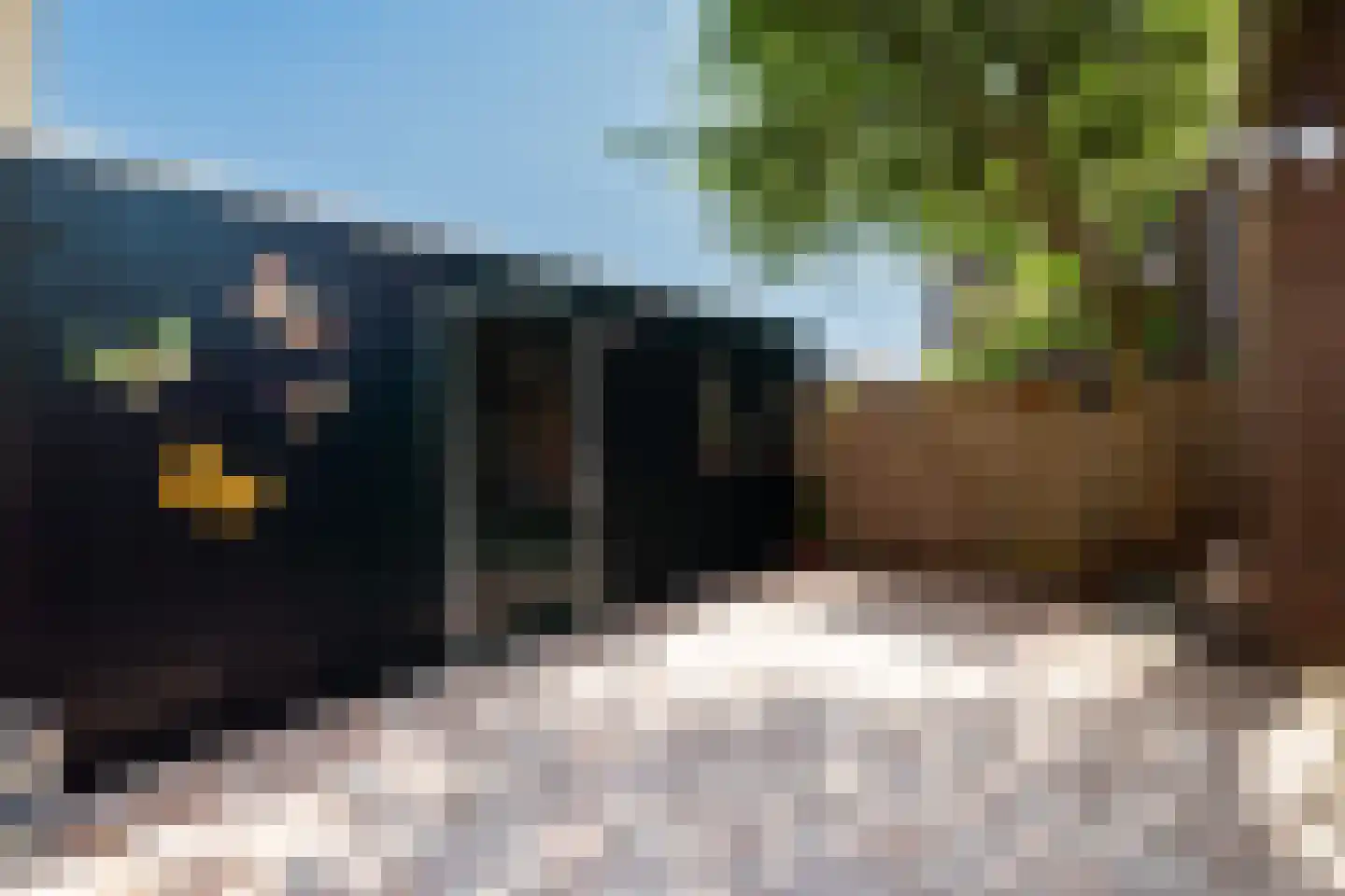 Bartholomeuslaan 10 Nootdorp thumbnail 4