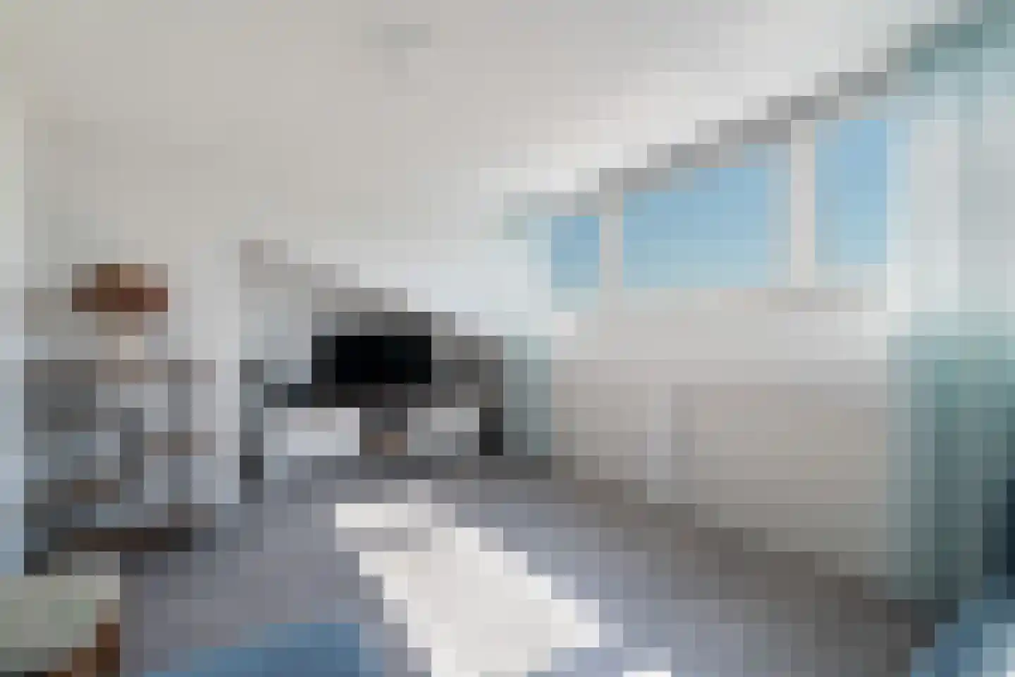 Bartholomeuslaan 10 Nootdorp thumbnail 41
