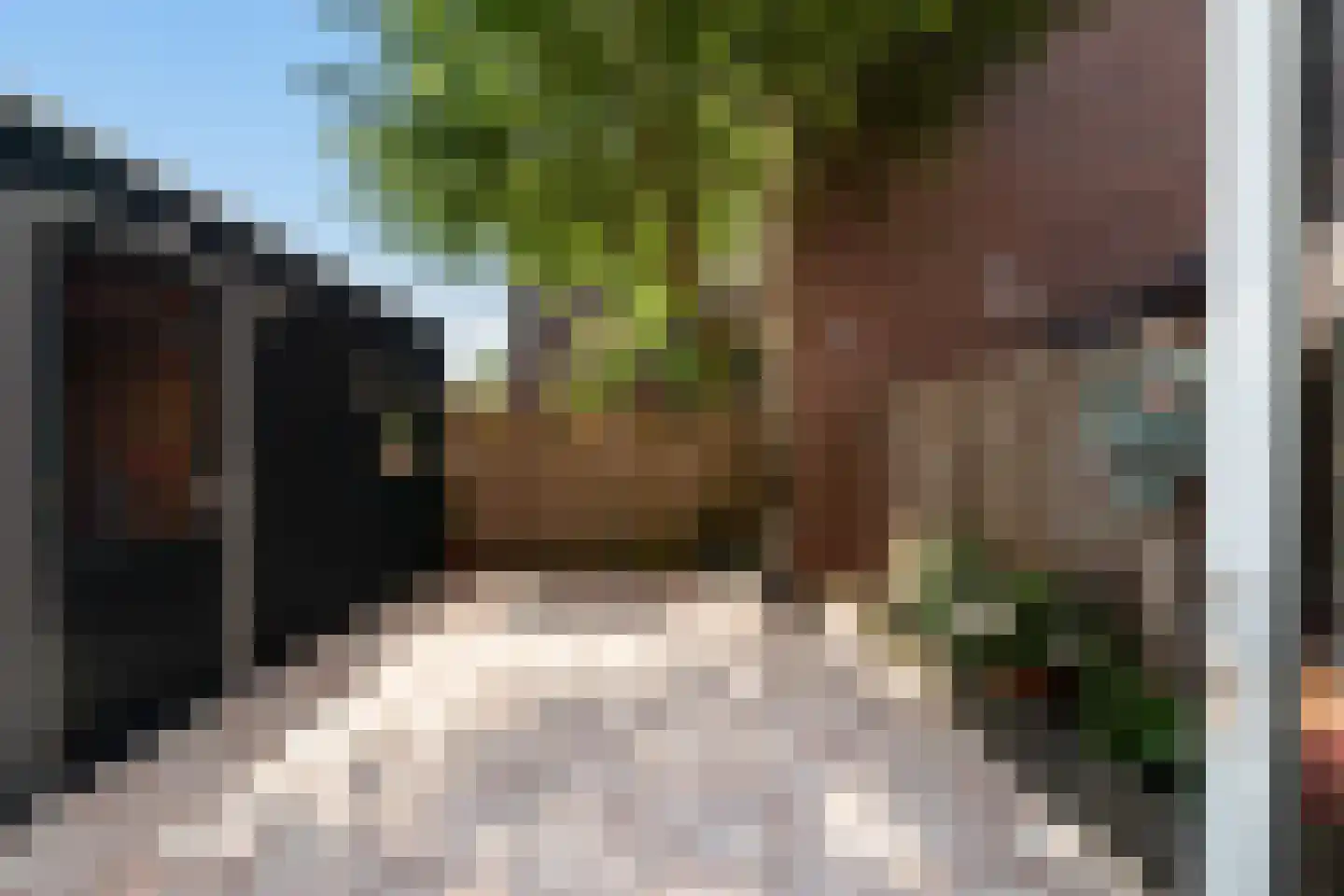 Bartholomeuslaan 10 Nootdorp thumbnail 44