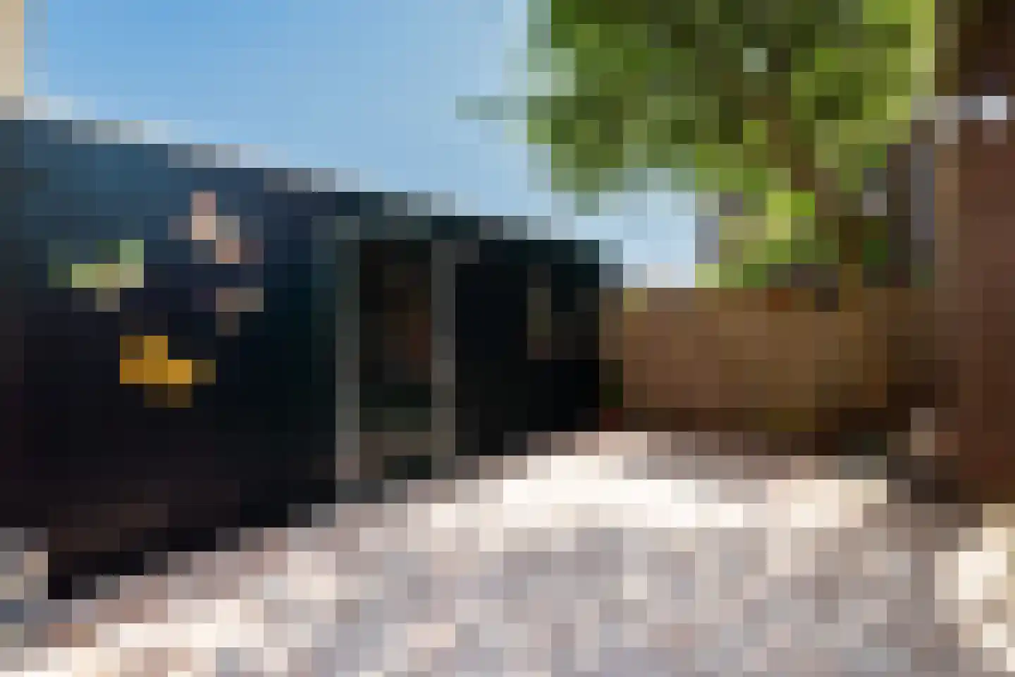 Bartholomeuslaan 10 Nootdorp thumbnail 45