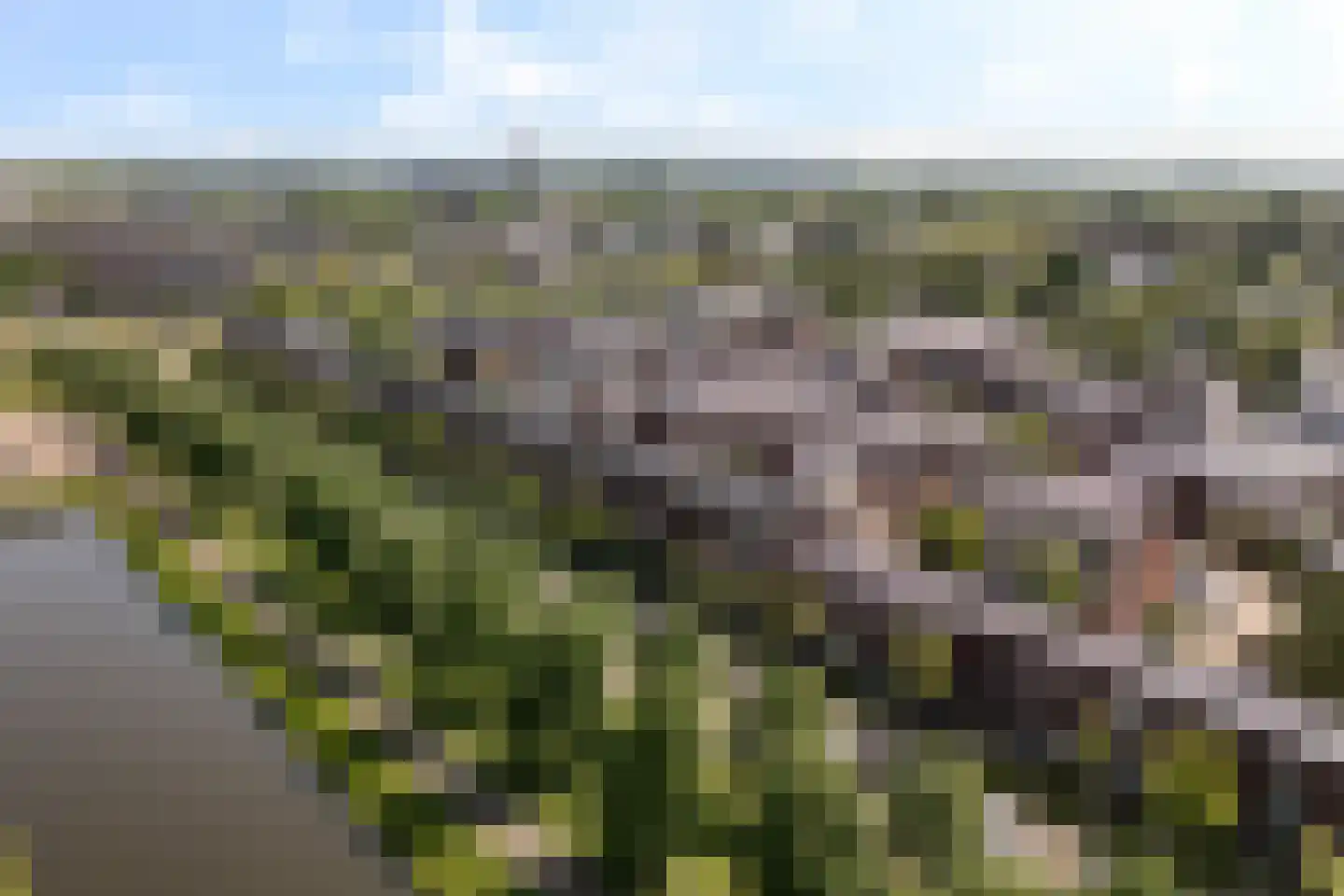 Bartholomeuslaan 10 Nootdorp thumbnail 57