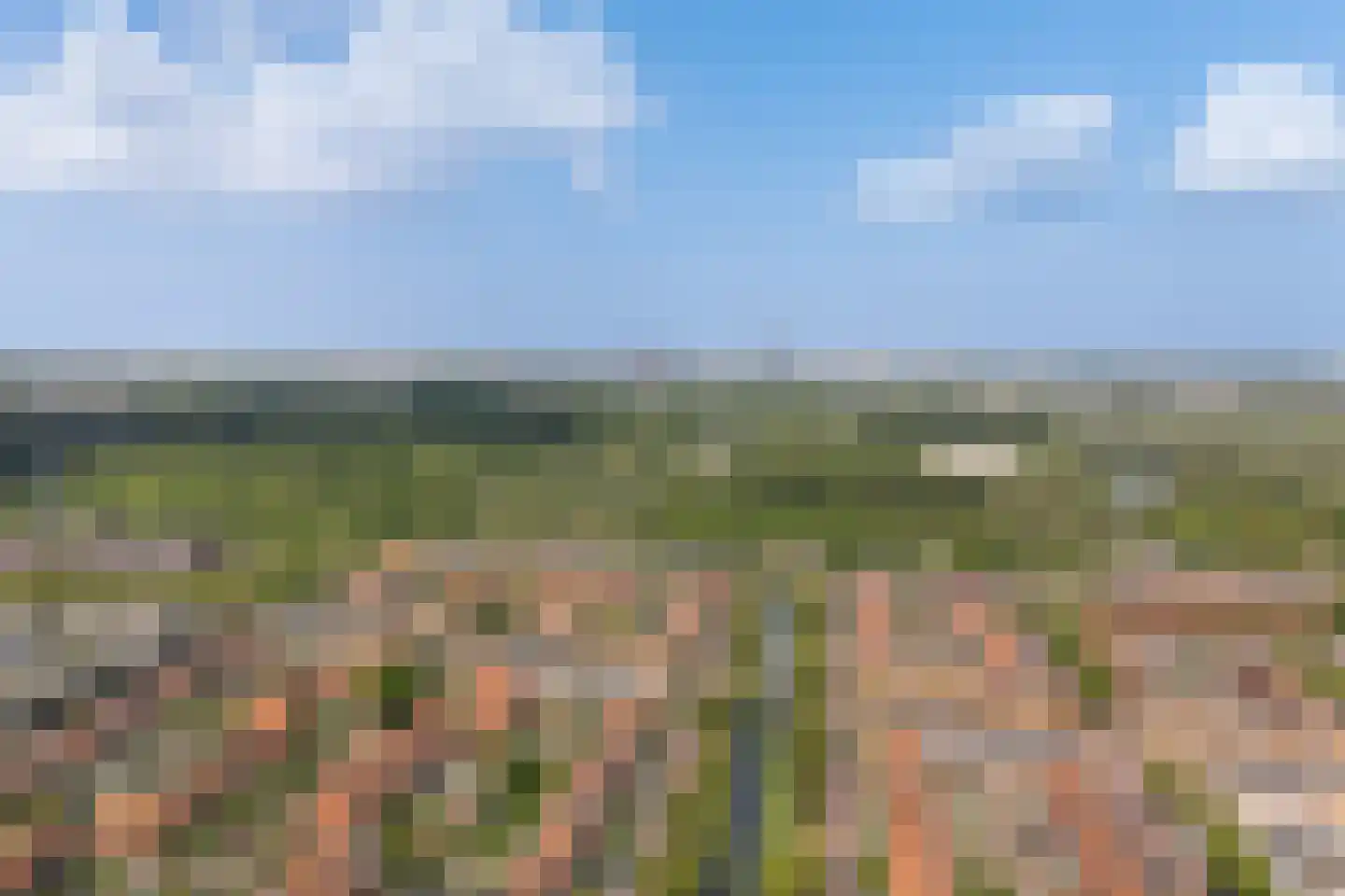 Bartholomeuslaan 10 Nootdorp thumbnail 61