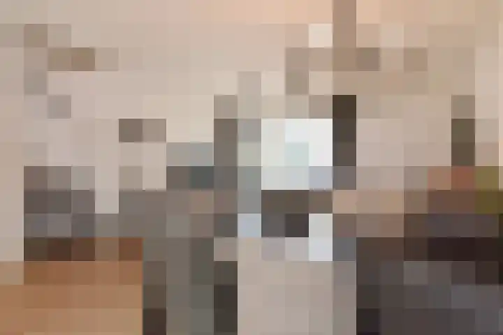 Bartholomeuslaan 11 Nootdorp thumbnail 12