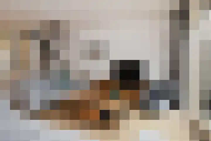 Bartholomeuslaan 11 Nootdorp thumbnail 14