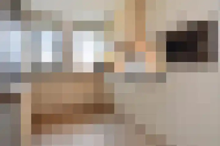Bartholomeuslaan 11 Nootdorp thumbnail 16