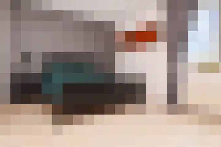 Bartholomeuslaan 11 Nootdorp thumbnail 21