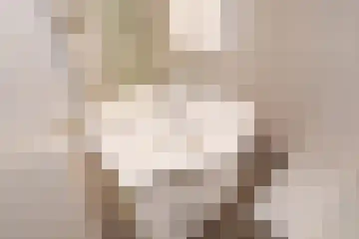 Bartholomeuslaan 11 Nootdorp thumbnail 25