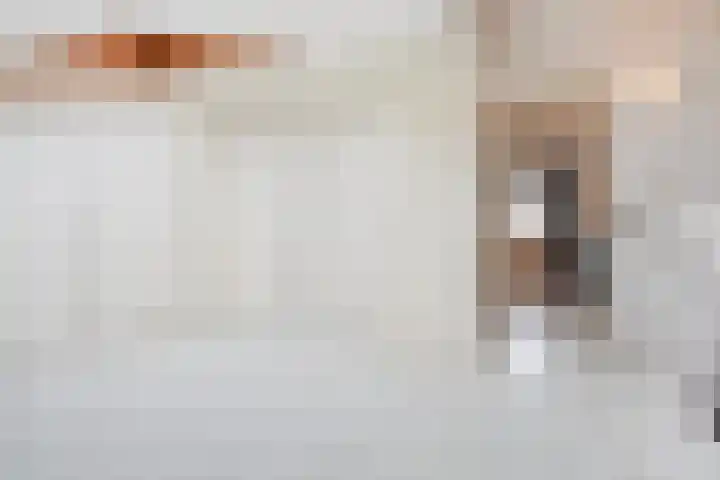 Bartholomeuslaan 11 Nootdorp thumbnail 32