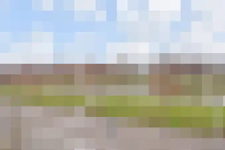 Bartholomeuslaan 11 Nootdorp thumbnail 35