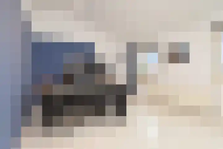 Bartholomeuslaan 11 Nootdorp thumbnail 36