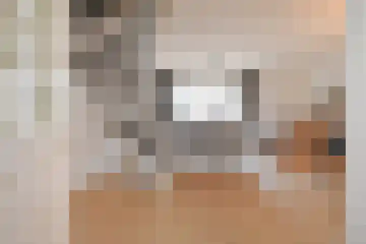 Bartholomeuslaan 11 Nootdorp thumbnail 6