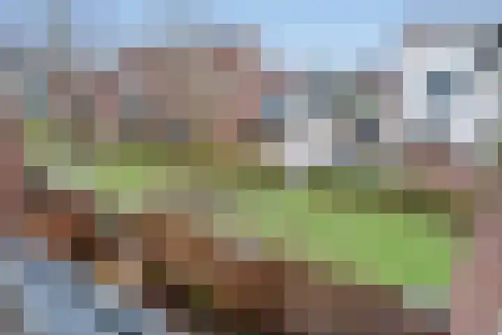 Bartholomeuslaan 18 Nootdorp thumbnail 30