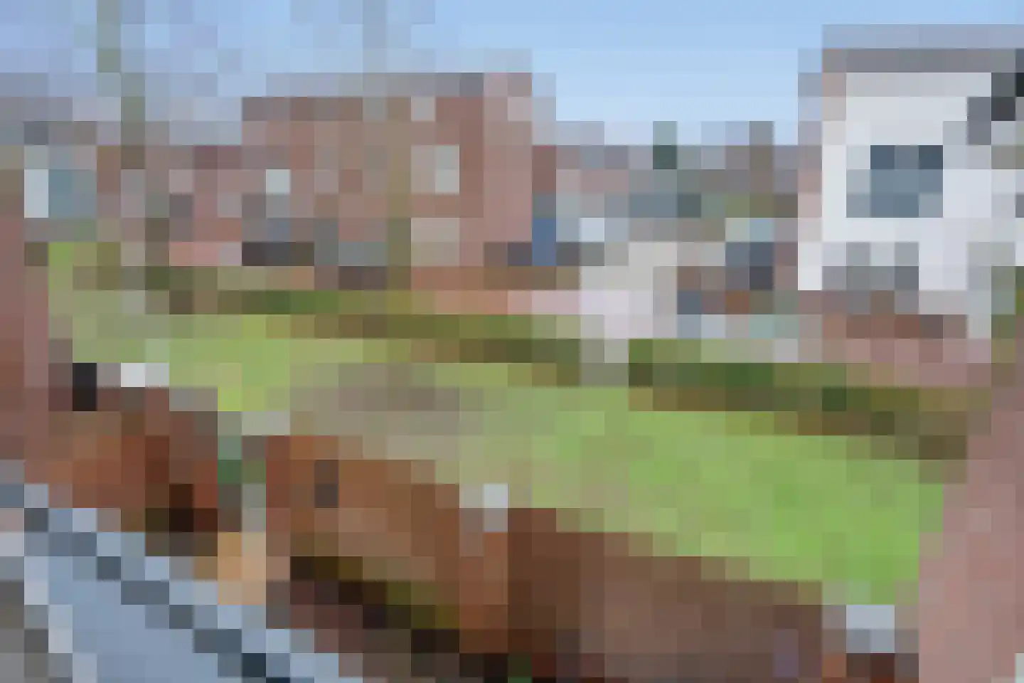 Bartholomeuslaan 18 Nootdorp thumbnail 30