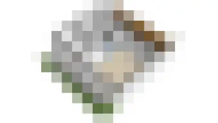 Bartholomeuslaan 18 Nootdorp thumbnail 40
