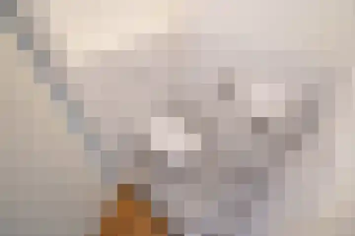 Bartholomeuslaan 18 Nootdorp thumbnail 7
