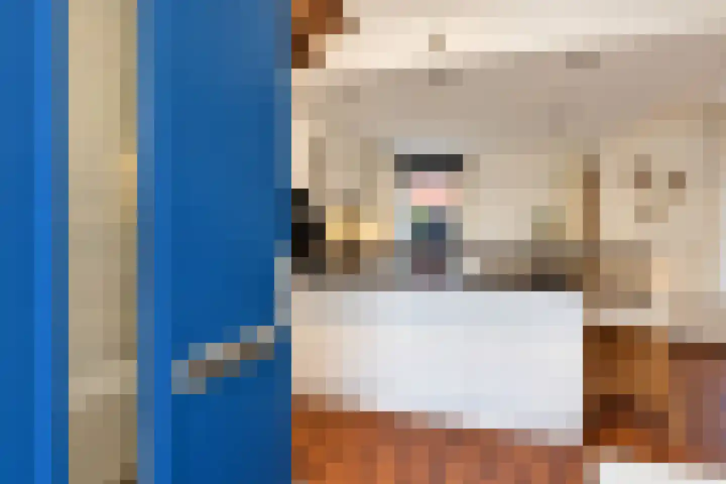 Bartholomeuslaan 30 Nootdorp thumbnail 6
