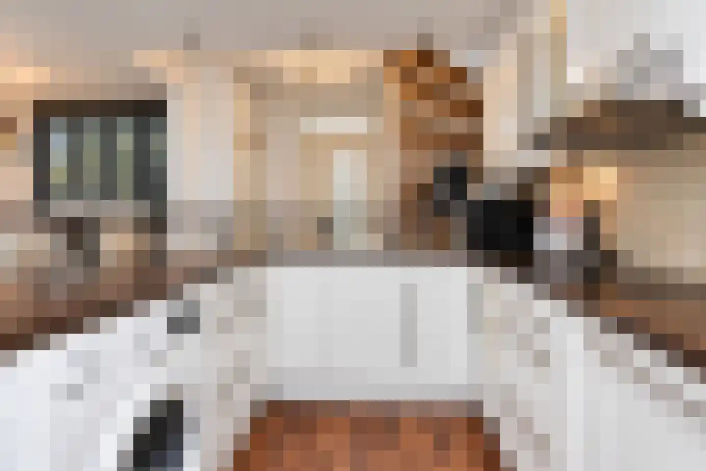 Bartholomeuslaan 30 Nootdorp thumbnail 8
