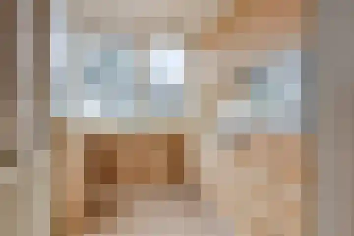 Bartigon 10 Limmen foto 3