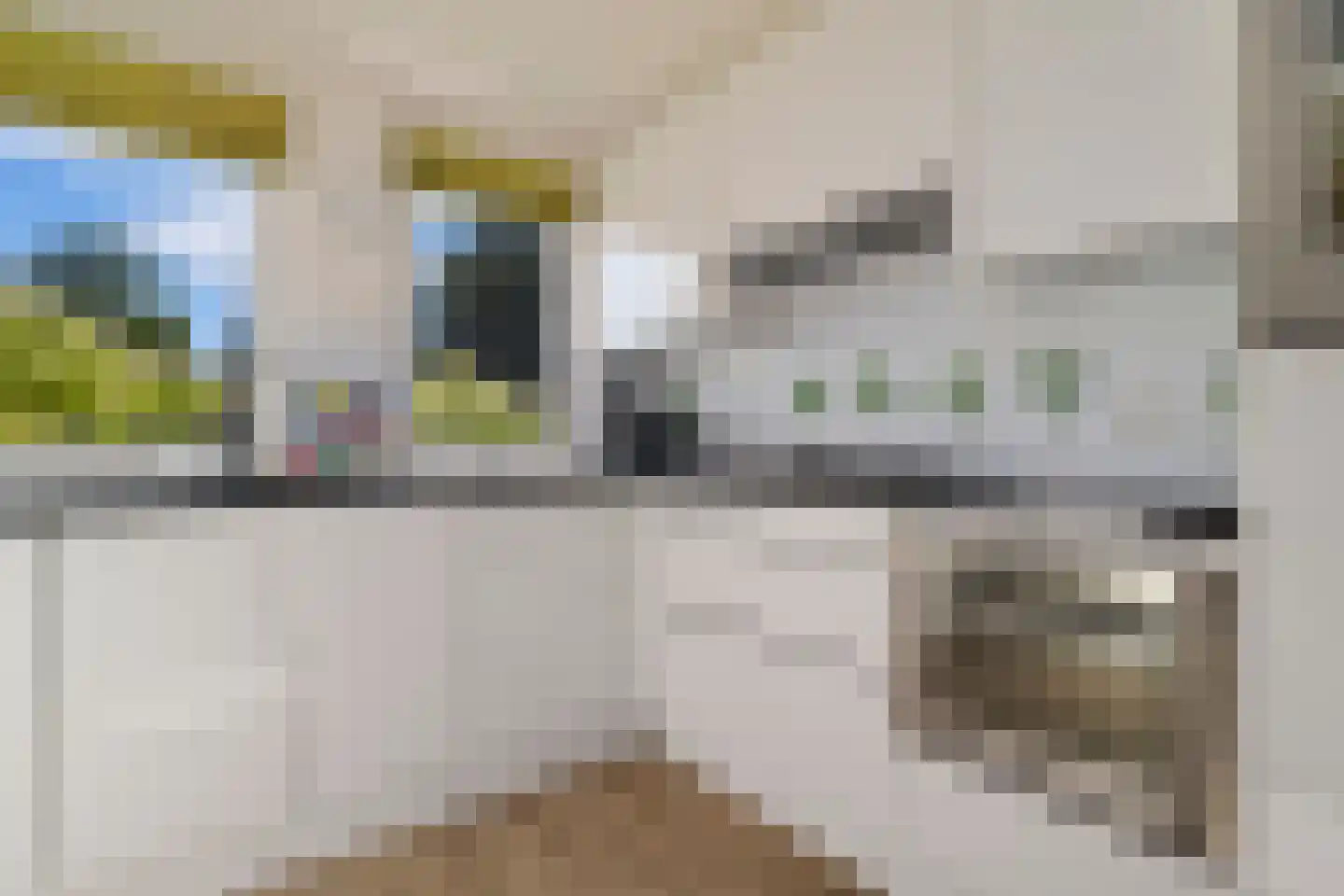 Bartigon 19 Limmen thumbnail 14