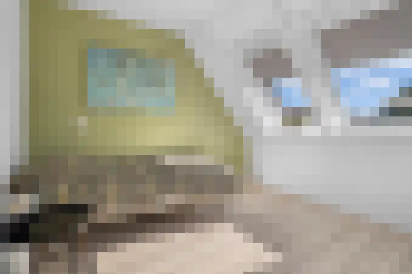 Bartigon 19 Limmen thumbnail 24